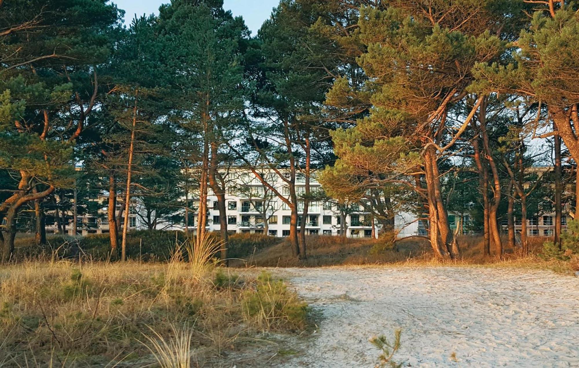 Prince Binz Eksteriør bilde